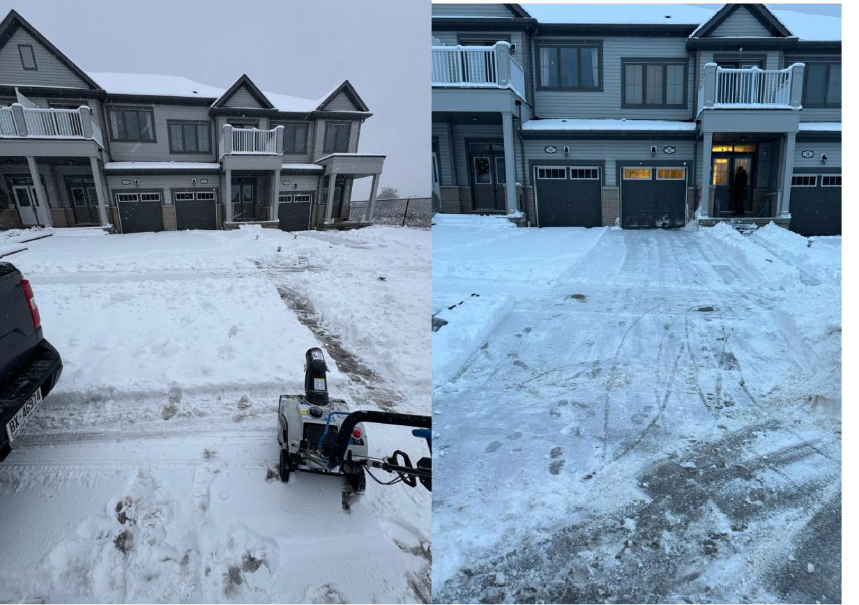 Seasonal & Maintenance Services project by Robert Reno
