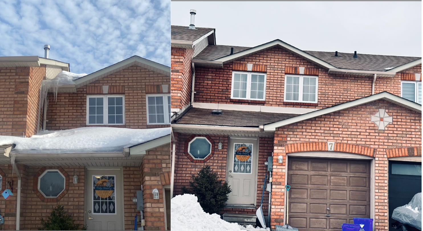 Seasonal & Maintenance Services project by Robert Reno